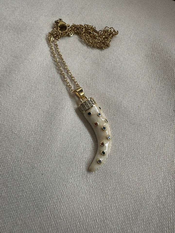 Seyche tooth necklace