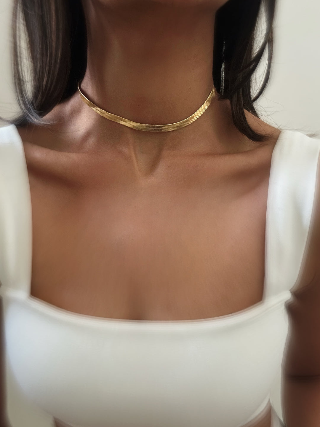 Snake Choker Necklace - Main Image