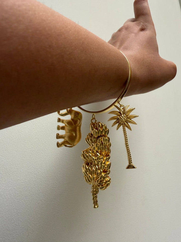 Vanraj bracelet