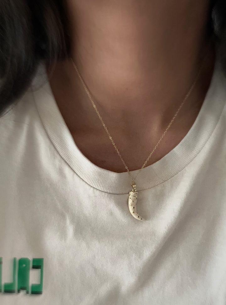 Seyche tooth necklace