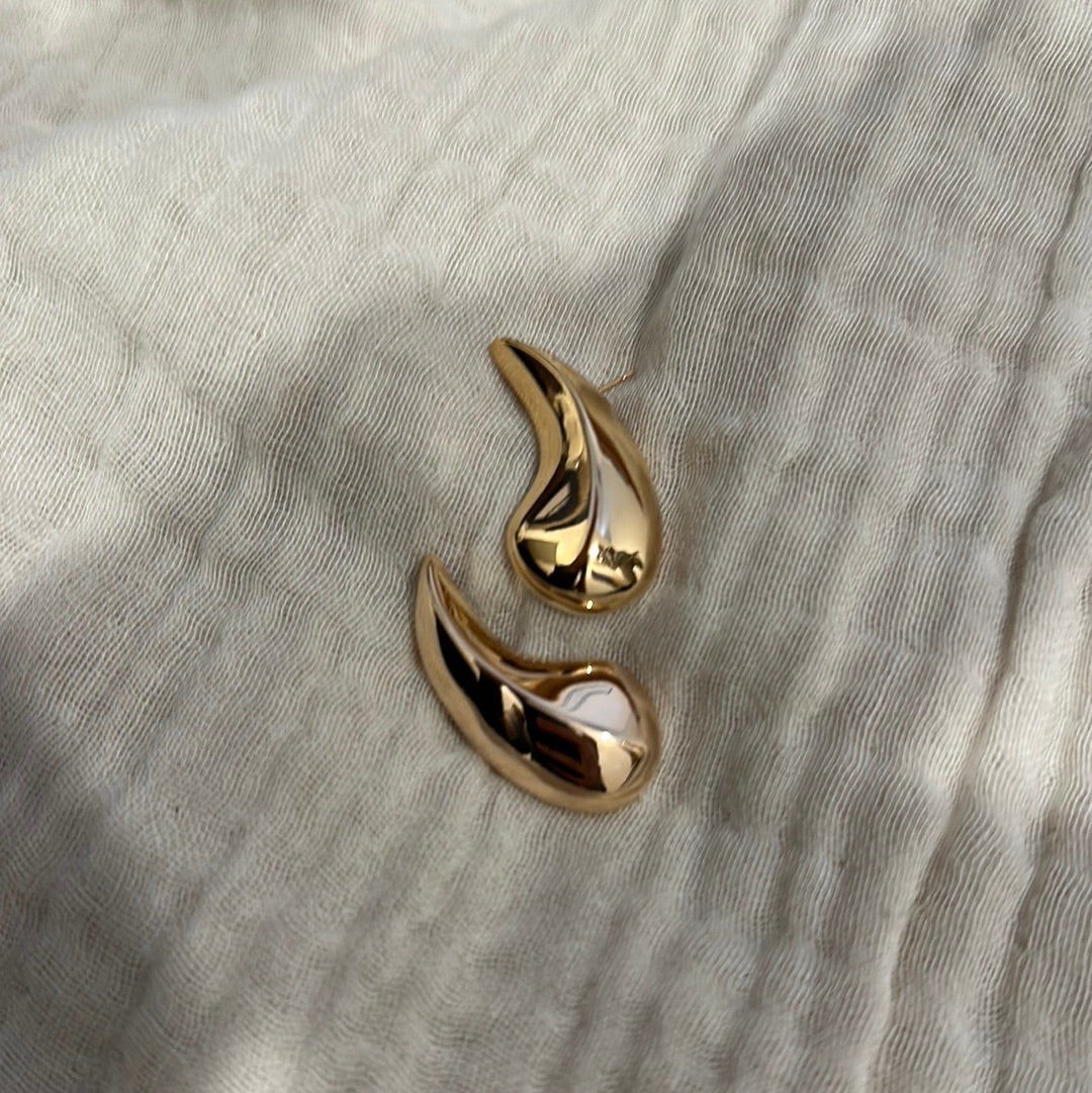 Drop Radiance Earrings